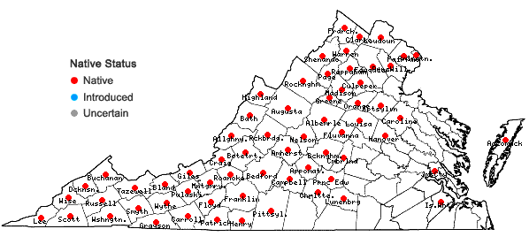 Locations ofOsmunda claytoniana L. var. claytoniana in Virginia