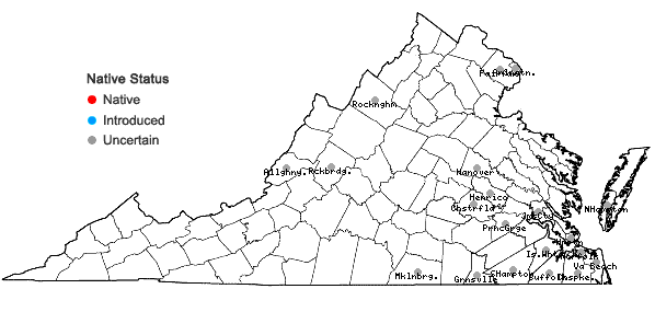 Locations ofOxalis corniculata L. in Virginia