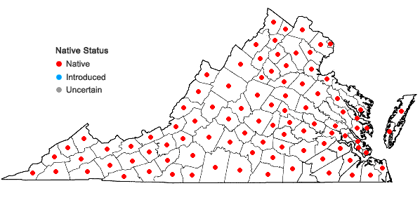 Locations ofPackera aurea (L.) A. & D. Love in Virginia