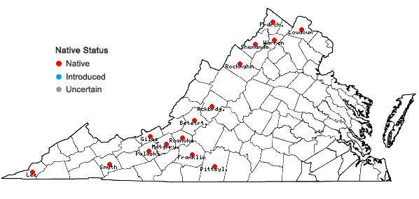 Locations ofPackera paupercula (Michaux) Á. & D. Löve var. appalachiana A.M. Mahoney;  in Virginia