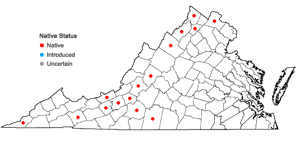 Locations ofPackera plattensis (Nutt.) W.A. Weber & A. Love in Virginia