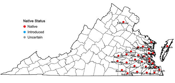 Locations ofPackera tomentosa (Michx.) C. Jeffrey in Virginia