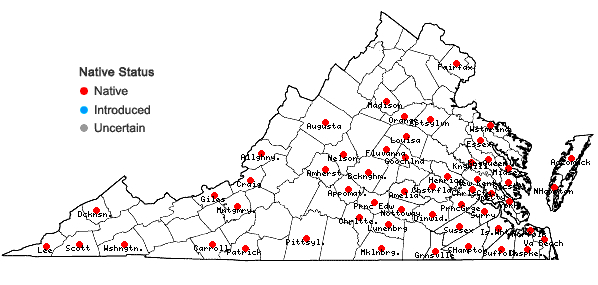 Locations ofPallavicinia lyellii (Hook.) Carruth. in Virginia