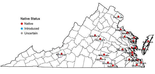 Locations ofPanicum amarulum Hitchc. & Chase in Virginia