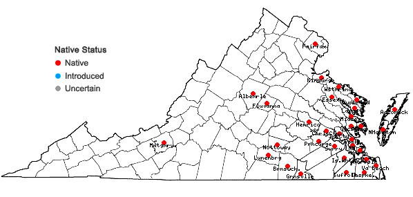 Locations ofPanicum amarum complex in Virginia