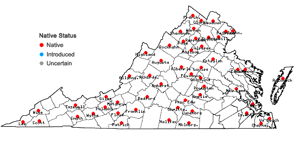 Locations ofPanicum capillare L. ssp. capillare in Virginia