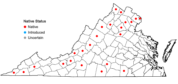 Locations ofPanicum flexile (Gattinger) Scribn. in Virginia