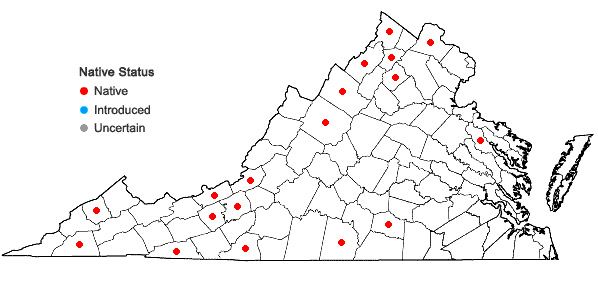 Locations ofPanicum gattingeri Nash in Virginia