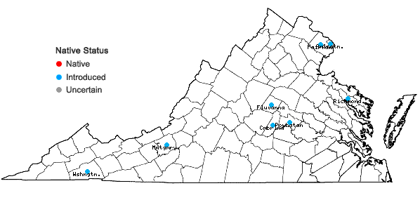 Locations ofPanicum miliaceum L. ssp. miliaceum in Virginia
