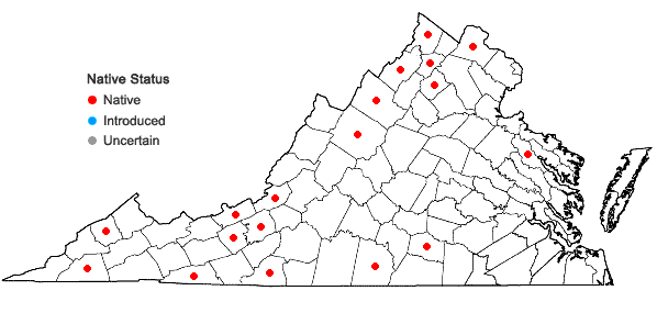 Locations ofPanicum philadelphicum Bernh. ex Trin. ssp. gattingeri (Nash) Freckm. & Lelong in Virginia