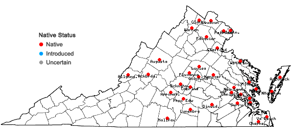 Locations ofPanicum virgatum L. var. virgatum in Virginia