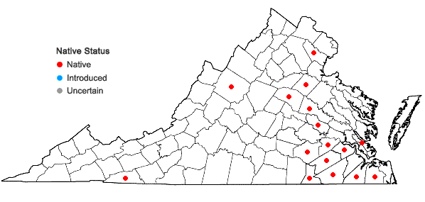 Locations ofPanicum virgatum L. var. cubense Griseb. in Virginia