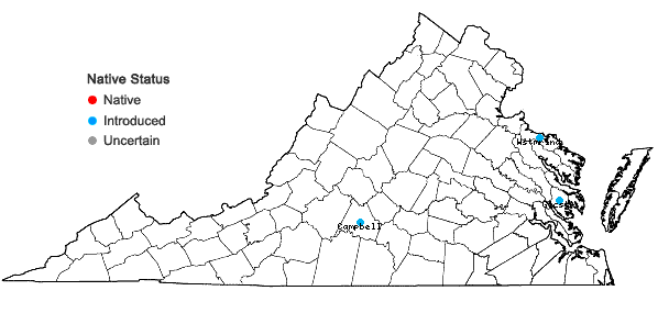 Locations ofPapaver orientale L. in Virginia