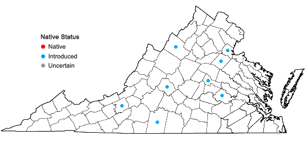 Locations ofPapaver rhoeas L. in Virginia