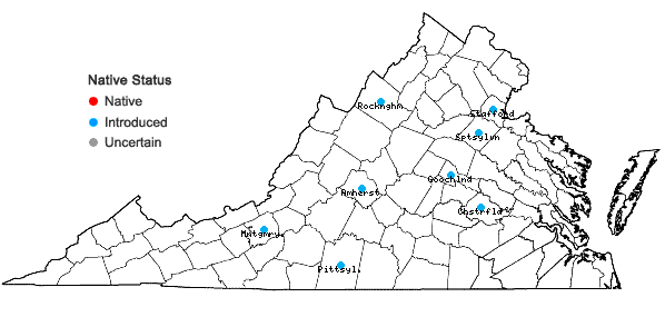 Locations ofPapaver rhoeas L. in Virginia