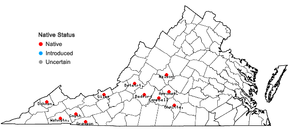Locations ofParaleucobryum longifolium (Ehrh. ex Hedw.) Loeske in Virginia