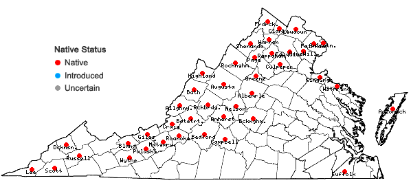 Locations ofParietaria pensylvanica Muhl. ex Willd. in Virginia