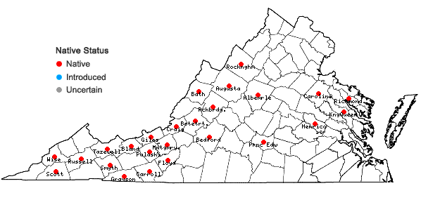 Locations ofParnassia asarifolia Vent. in Virginia