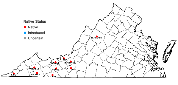 Locations ofParnassia grandifolia DC. in Virginia