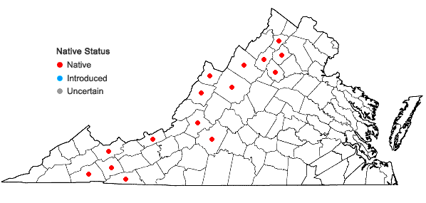Locations ofParogonum ciliinode (Michaux) Desjardins & J.P. Bailey in Virginia