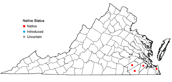 Locations ofParonychia baldwinii (Torr. & Gray) Fenzl ex Walp. ssp riparia (Chapman) Chaudhri in Virginia