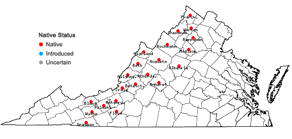 Locations ofParonychia montana (Small) Pax & K. Hoffmann in Virginia