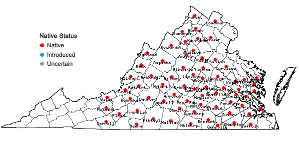 Locations ofParthenium integrifolium L. var. integrifolium in Virginia