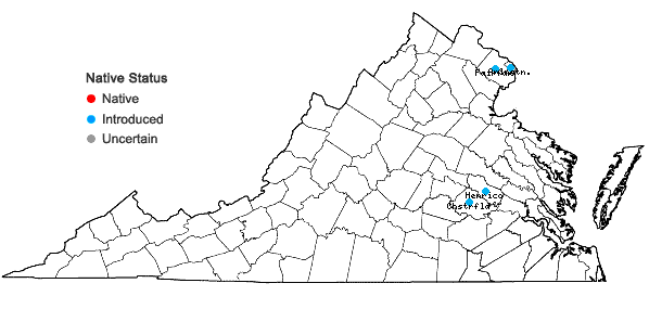 Locations ofParthenocissus tricuspidata (Sieb. & Zucc.) Planch. in Virginia