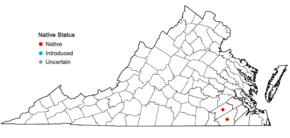 Locations ofPaspalum bifidum (Bertol.) Nash in Virginia