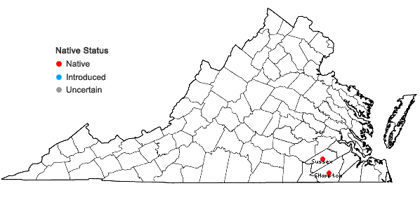Locations ofPaspalum bifidum (Bertol.) Nash in Virginia
