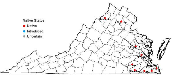 Locations ofPaspalum boscianum Fluegge in Virginia