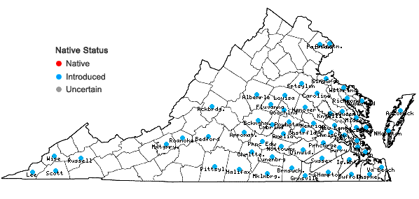 Locations ofPaspalum dilatatum Poir. in Virginia