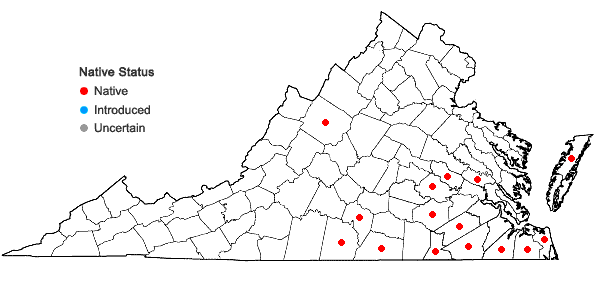Locations ofPaspalum dissectum (L.) L. in Virginia
