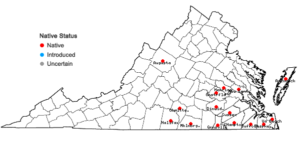 Locations ofPaspalum dissectum (L.) L. in Virginia