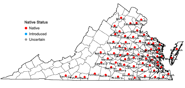 Locations ofPaspalum floridanum Michx. in Virginia
