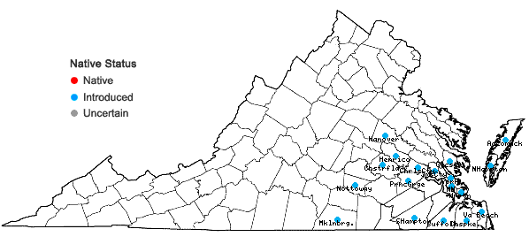 Locations ofPaspalum notatum Fluegge in Virginia