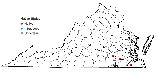 Locations ofPaspalum praecox Walter var. curtisianum (Steud.) Vasey in Virginia