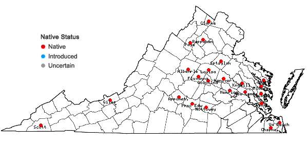 Locations ofPaspalum setaceum Michx. var. ciliatifolium (Michx.) Vasey in Virginia