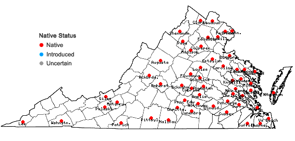 Locations ofPaspalum setaceum Michx. var. mühlenbergii (Nash) Fern. in Virginia