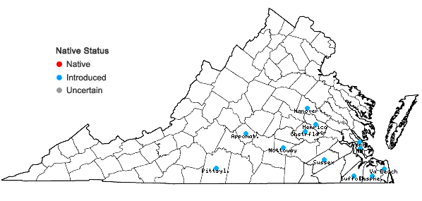 Locations ofPaspalum urvillei Steud. in Virginia
