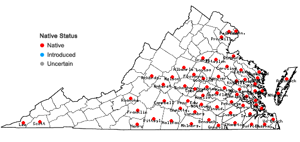 Locations ofPassiflora incarnata L. in Virginia