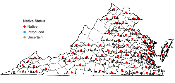 Locations ofPassiflora lutea L. in Virginia