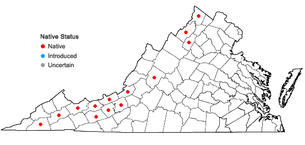 Locations ofPaxistima canbyi A. Gray in Virginia