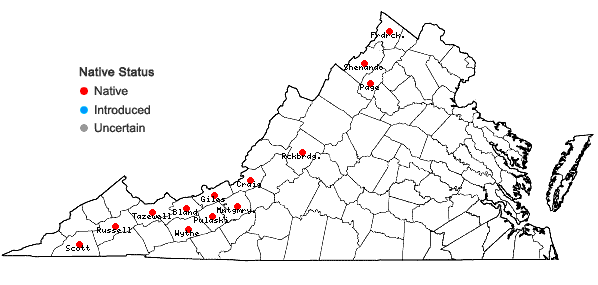 Locations ofPaxistima canbyi A. Gray in Virginia