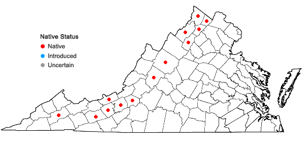 Locations ofPellaea glabella Mett. ex Kuhn ssp. glabella in Virginia