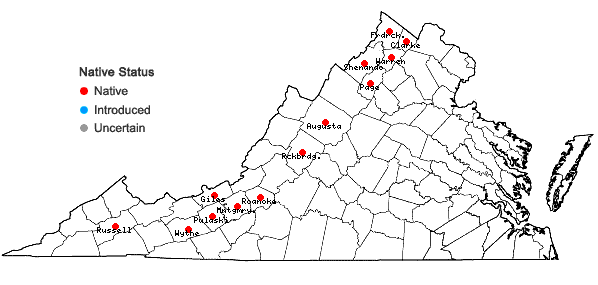 Locations ofPellaea glabella Mett. ex Kuhn ssp. glabella in Virginia