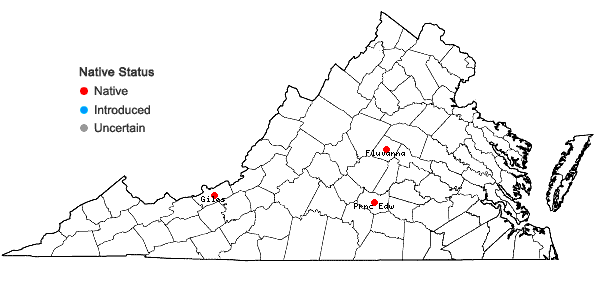 Locations ofPellia endiviifolia (Dicks.) Dumort. in Virginia