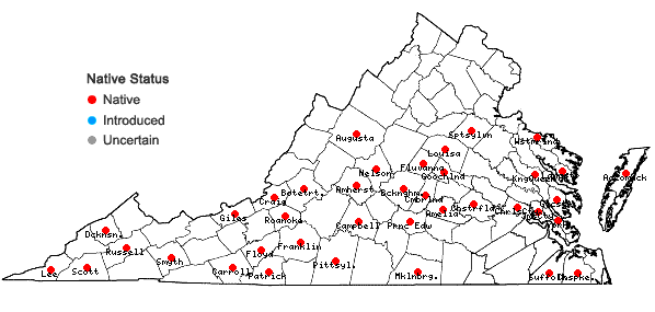 Locations ofPellia epiphylla (L.) Corda in Virginia