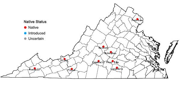 Locations ofPellia neesiana (Gottsche) Limpr. in Virginia