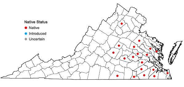 Locations ofPenstemon australis Small in Virginia